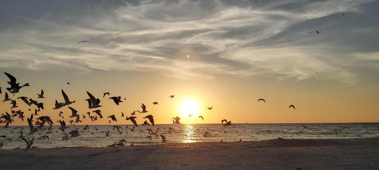 Pelican Pointe 2A Clearwater Beach Exteriér fotografie